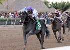 Clearly Now won the Swale by 1 3/4 lengths on March 2.<br><a target="blank" href="http://photos.bloodhorse.com/AtTheRaces-1/at-the-races-2013/27257665_QgCqdh#!i=2389623634&k=nXPxnv4">Order This Photo</a>