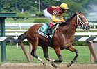 Discreetly Mine notched his second graded stakes victory of the summer with an easy win in the Amsterdam Stakes at Saratoga.