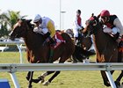 Society's Chairman charges late to win the Appleton.<br><a target="blank" href="http://www.bloodhorse.com/horse-racing/photo-store?ref=http%3A%2F%2Fpictopia.com%2Fperl%2Fgal%3Fprovider_id%3D368%26ptp_photo_id%3D8849916%26ref%3Dstory">Order This Photo</a>