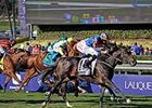 Magician wins the 2013 Breeders' Cup Turf. <br><a target="blank" href="http://photos.bloodhorse.com/BreedersCup/2013-Breeders-Cup/Turf/33149938_WkWzN9#!i=2878409455&k=HvPJJrN">Order This Photo</a>
