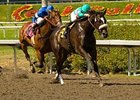 Zenyatta Remains Unbeaten in Milady 'Cap Zenyatta Remains Unbeaten in Milady 'Cap