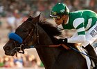 Lady of Shamrock