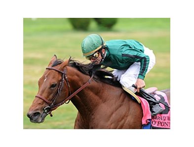 Gio Ponti headlines the Woodford Reserve Manhattan Handicap.<br><a target="blank" href="http://www.bloodhorse.com/horse-racing/photo-store?ref=http%3A%2F%2Fpictopia.com%2Fperl%2Fgal%3Fprovider_id%3D368%26ptp_photo_id%3D9102048%26ref%3Dstory">Order This Photo</a>