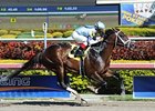 Verrazano makes his stakes debut in the Tampa Bay Derby.<br><a target="blank" href="http://photos.bloodhorse.com/AtTheRaces-1/at-the-races-2013/27257665_QgCqdh#!i=2347592213&k=pMtwsNp">Order This Photo</a>