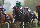 Glorious Days wins the Hong Kong Mile.
<br><a target="blank" href="http://photos.bloodhorse.com/AtTheRaces-1/at-the-races-2013/27257665_QgCqdh#!i=2955926430&k=3QnjVJP">Order This Photo</a>