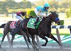 Berdinini's daughter A Z Warrior, winner of the Frizette (gr. I).<br><a target="blank" href="http://www.bloodhorse.com/horse-racing/photo-store?ref=http%3A%2F%2Fpictopia.com%2Fperl%2Fgal%3Fprovider_id%3D368%26ptp_photo_id%3D9226135%26ref%3Dstory">Order This Photo</a>