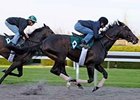 Blue Grass morning line favorite Hold Me Back at Keeneland on April 5.<br><a target="blank" href="http://www.bloodhorse.com/horse-racing/photo-store?ref=http%3A%2F%2Fpictopia.com%2Fperl%2Fgal%3Fprovider_id%3D368%26ptp_photo_id%3D7990641%26ref%3Dstory">Ord