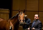 Fasig-Tipton Mixed Sale Average Down Fasig-Tipton Mixed Sale Average Down