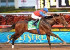 It's a Bird draws off to victory in the Sunshine Millions Classic.<br><a target="blank" href="http://www.bloodhorse.com/horse-racing/photo-store?ref=http%3A%2F%2Fpictopia.com%2Fperl%2Fgal%3Fprovider_id%3D368%26ptp_photo_id%3D7535421%26ref%3Dstory">Order This Photo</a>