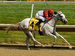 Careless Jewel Steals Delaware Oaks at 10-1 Careless Jewel Steals Delaware Oaks at 10-1