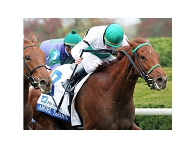 Angel Terrace won the first division of the Pin Oak Valley View Stakes by a nose.