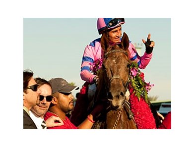Weemissfrankie who is trained by Peter Eurton
