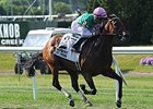 Riposte has never been worse than third in her six starts in the U.S.<br><a target="blank" href="http://photos.bloodhorse.com/AtTheRaces-1/At-the-Races-2014/i-b53zZ4t">Order This Photo</a>