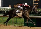 Northern Dancer winner Pyro is one of a dozen 3-year-olds entered for the Indiana Derby.<br><a target="blank" href="http://www.bloodhorse.com/horse-racing/photo-store?ref=http%3A%2F%2Fpictopia.com%2Fperl%2Fgal%3Fprovider_id%3D368%26ptp_photo_id%3D4832193%26ref%3Dstory">Order This Photo</a>