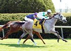 Winter Memories is the 123-pound high weight for the Sands Point.