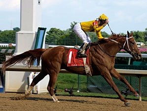 Curlin's Minority Interest Transferred Curlin's Minority Interest Transferred