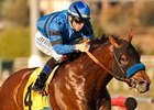 Den's Legacy takes on 7 in the Affirmed Handicap at Betfair Hollywood Park.