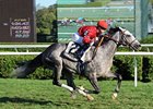 Turallure flies home to win the Bernard Baruch Handicap.<br><a target="blank" href="http://www.bloodhorse.com/horse-racing/photo-store?ref=http%3A%2F%2Fpictopia.com%2Fperl%2Fgal%3Fprovider_id%3D368%26ptp_photo_id%3D9647783%26ref%3Dstory">Order This Photo</a>