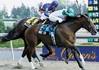 Queen's Plate Winner Mike Fox Retired Queen's Plate Winner Mike Fox Retired