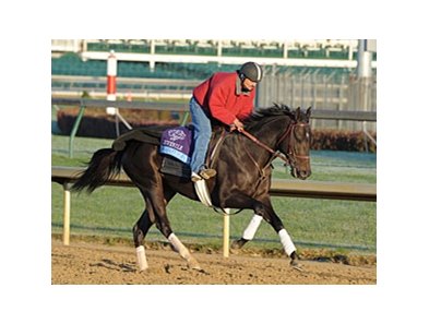 Take Charge Indy<br><a target="blank" href="http://www.bloodhorse.com/horse-racing/photo-store?ref=http%3A%2F%2Fpictopia.com%2Fperl%2Fgal%3Fprovider_id%3D368%26ptp_photo_id%3D9726180%26ref%3Dstory">Order This Photo</a>