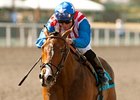 May Day Rose
<br><a target="blank" href="http://www.bloodhorse.com/horse-racing/photo-store?ref=http%3A%2F%2Fpictopia.com%2Fperl%2Fgal%3Fprovider_id%3D368%26ptp_photo_id%3D9533827%26ref%3Dstory">Order This Photo</a>