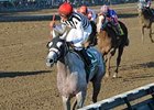 Vineyard Haven, winner of the 2008 Hopeful Stakes, is training in Dubai. <br><a target="blank" href="http://www.bloodhorse.com/horse-racing/photo-store?ref=http%3A%2F%2Fpictopia.com%2Fperl%2Fgal%3Fprovider_id%3D368%26ptp_photo_id%3D5750072%0D%0A%26ref%3Dstory">Order This Photo</a>