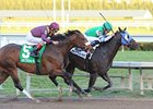 Reveron holds off Casual Trick to win the Gulfstream Park Derby.<br><a target="blank" href="http://www.bloodhorse.com/horse-racing/photo-store?ref=http%3A%2F%2Fpictopia.com%2Fperl%2Fgal%3Fprovider_id%3D368%26ptp_photo_id%3D9791370%26ref%3Dstory">Order This Photo</a>
