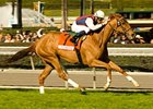 Quite a Bride rolls to victory in the Sunshine Millions Filly and Mare Turf.<br><a target="blank" href="http://www.bloodhorse.com/horse-racing/photo-store?ref=http%3A%2F%2Fpictopia.com%2Fperl%2Fgal%3Fprovider_id%3D368%26ptp_photo_id%3D3399271%26ref%3Dstory">Order This Photo</a>