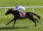 2013 Irish Derby winner Trading Leather<br><a target="blank" href="http://photos.bloodhorse.com/AtTheRaces-1/at-the-races-2013/27257665_QgCqdh#!i=2610818081&k=tDZHBJ7">Order This Photo</a>
