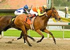 Tiz Elemental Seeks Grade in Las Flores Tiz Elemental Seeks Grade in Las Flores