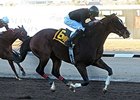 Rebranded Strikes in Riley Allison Futurity Rebranded Strikes in Riley Allison Futurity