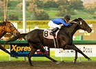 Einstein flies home in the Santa Anita Handicap.<br><a target="blank" href="http://www.bloodhorse.com/horse-racing/photo-store?ref=http%3A%2F%2Fpictopia.com%2Fperl%2Fgal%3Fprovider_id%3D368%26ptp_photo_id%3D7865360%26ref%3Dstory">Order This Photo</a>