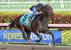 Barbados
<br><a target="blank" href="http://photos.bloodhorse.com/AtTheRaces-1/At-the-Races-2015/i-x9hRMJP">Order This Photo</a>
