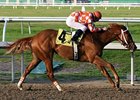 Just Jenda heads the field in the Silverbulletday.