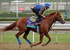 Super Ninety Nine<br><a target="blank" href="http://photos.bloodhorse.com/BreedersCup/2012-Breeders-Cup/Works/26130247_gxH6nS#!i=2189106521&k=292nk2d">Order This Photo</a>