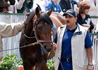 Colonel John, shown schooling at Churchill Downs, has impressed Todd Pletcher.
