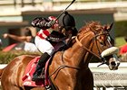 Aotearoa won the 2013 Zuma Beach Stakes.