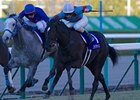 Robe Tissage (right)<br><a target="blank" href="http://photos.bloodhorse.com/AtTheRaces-1/at-the-races-2012/22274956_jFd5jM#!i=2263364714&k=ds7THCm">Order This Photo</a>