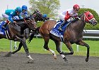 Blush is the dam of Derby Kitten, shown winning the 2011 Coolmore Lexington (gr. III).<br><a target="blank" href="http://www.bloodhorse.com/horse-racing/photo-store?ref=http%3A%2F%2Fpictopia.com%2Fperl%2Fgal%3Fprovider_id%3D368%26ptp_photo_id%3D9500908%26ref%3Dstory">Order This Photo</a>
