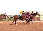 All Is Well After 'Wildest Race' at Pimlico All Is Well After 'Wildest Race' at Pimlico