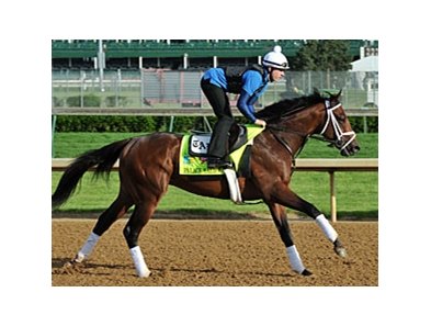 Palace Malice
<br><a target="blank" href="http://photos.bloodhorse.com/TripleCrown/2013-Triple-Crown/Kentucky-Derby-Workouts/29026796_jvcnn8#!i=2490701770&k=Xw86rfF">Order This Photo</a>