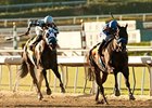 Points Offthebench gets the jump on favorite Goldencents to win the Santa Anita Sprint Championship.