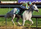 Hansen Draws Post 12 in Jam-Packed Gotham Hansen Draws Post 12 in Jam-Packed Gotham