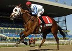 Officer Cherrie won the Mazzarine BC (gr. III-C) last Sept. 29 at Woodbine
