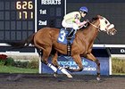 Miss Mischief will try to extend a three-race winning streak in the Maple Leaf Stakes.