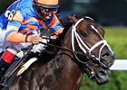 Overdriven Retired, to Stand at Ocala Stud Overdriven Retired, to Stand at Ocala Stud