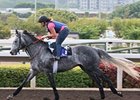Kip Deville prepares for the Cathay Pacific Hong Kong Mile.
