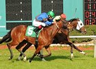 Roman Tiger upsets the Tampa Bay Stakes.