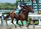 Awesome Feather<br><a target="blank" href="http://photos.bloodhorse.com/AtTheRaces-1/at-the-races-2012/22274956_jFd5jM#!i=2099274722&k=P2Fc6Gw">Order This Photo</a>