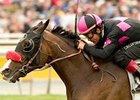 Lava Man Back for 2008 Campaign Lava Man Back for 2008 Campaign